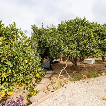 Villa Oasis 4-bedroom Retreat With Pool In Vilamoura Quarteira